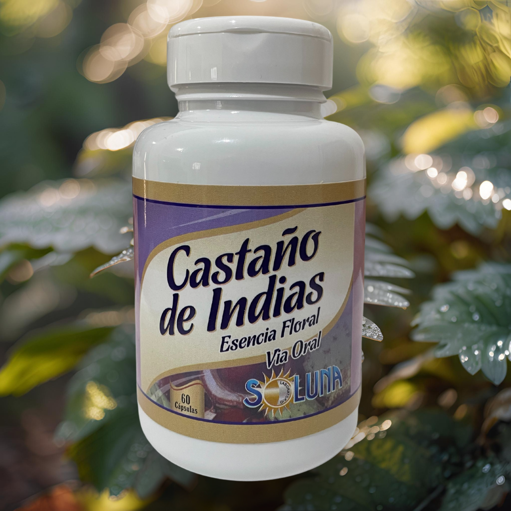 Cápsulas de Castaño de Indias