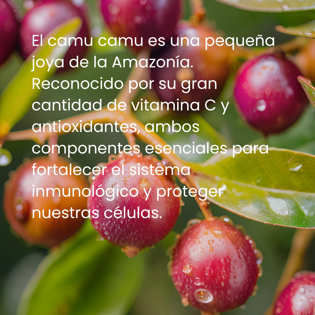 Bebida con Vitamina C natural: Nectar de camu camu. Camu-Sol