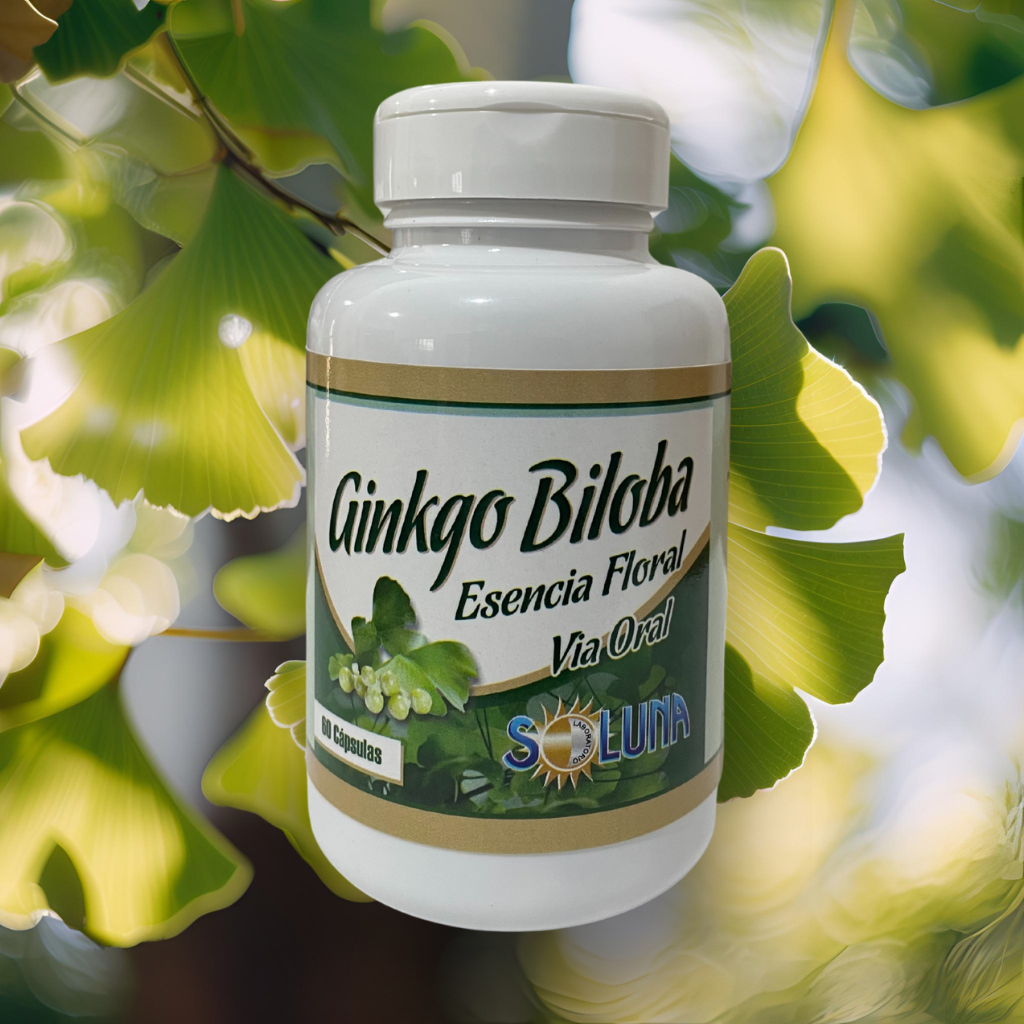 Cápsulas de Ginkgo Biloba